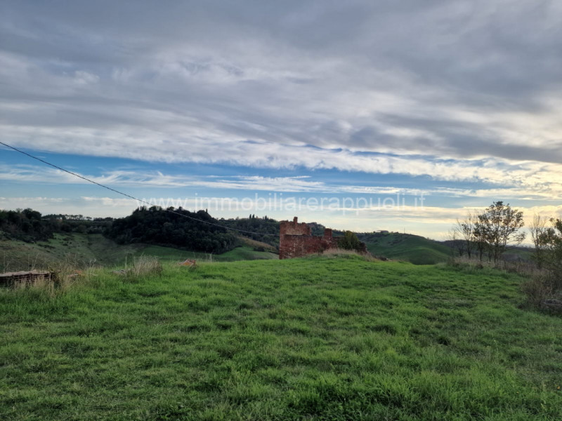Immagine 16 di Rustico / casale in vendita  a Asciano