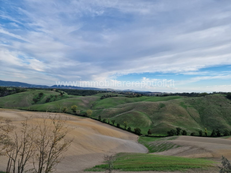 Immagine 17 di Rustico / casale in vendita  a Asciano