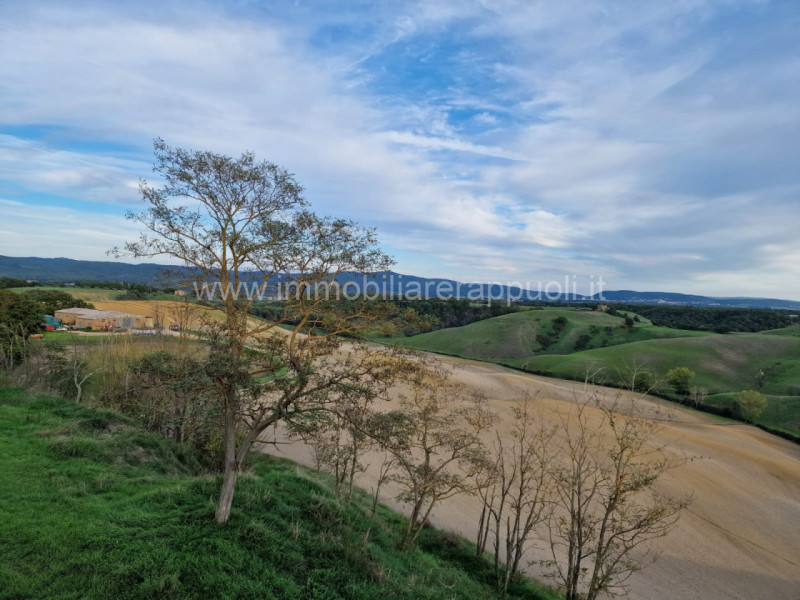 Immagine 18 di Rustico / casale in vendita  a Asciano