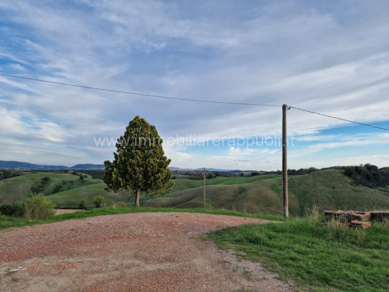 Immagine 24 di Rustico / casale in vendita  a Asciano