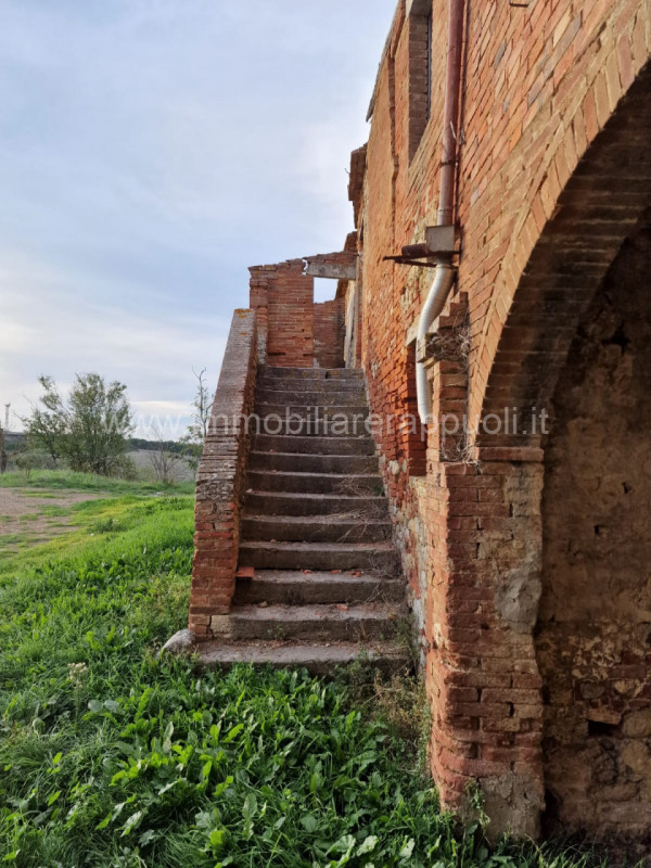 Immagine 27 di Rustico / casale in vendita  a Asciano