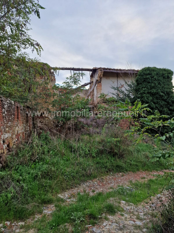 Immagine 28 di Rustico / casale in vendita  a Asciano