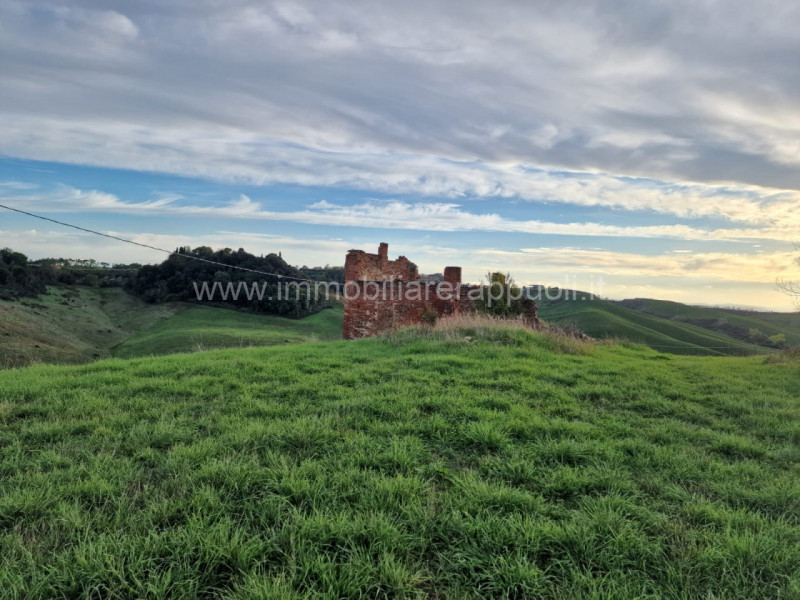 Immagine 29 di Rustico / casale in vendita  a Asciano