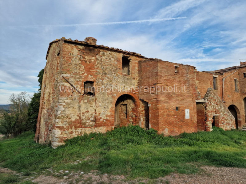 Immagine 33 di Rustico / casale in vendita  a Asciano