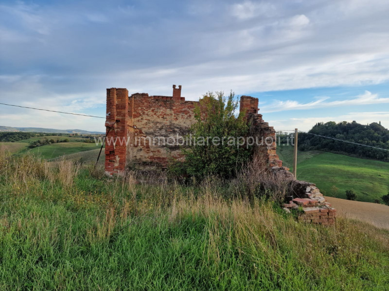 Immagine 35 di Rustico / casale in vendita  a Asciano