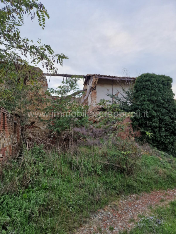 Immagine 36 di Rustico / casale in vendita  a Asciano