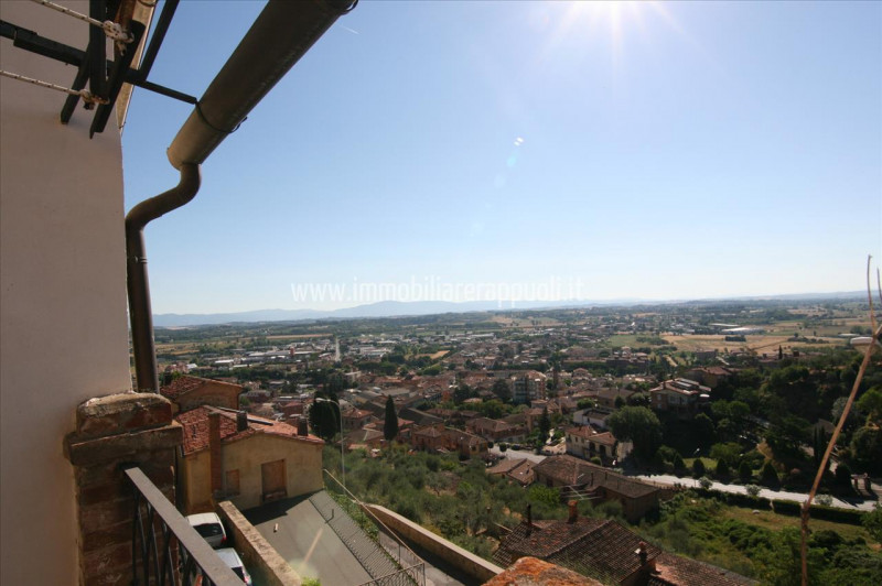 Immagine 4 di Casa indipendente in vendita  a Sinalunga