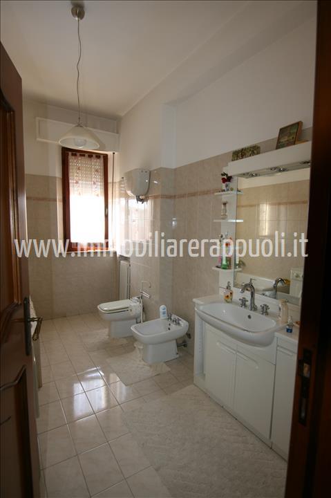 Immagine 3 di Appartamento in vendita  a Torrita Di Siena