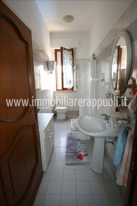 Immagine 5 di Appartamento in vendita  a Torrita Di Siena