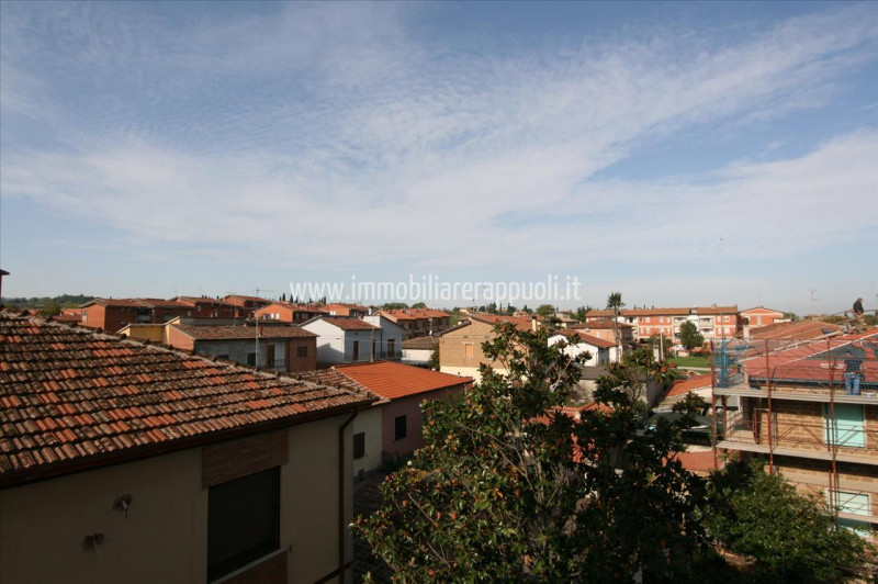 Immagine 8 di Appartamento in vendita  a Torrita Di Siena