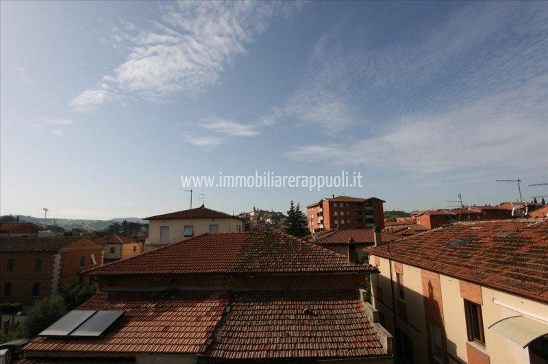 Immagine 13 di Appartamento in vendita  a Torrita Di Siena