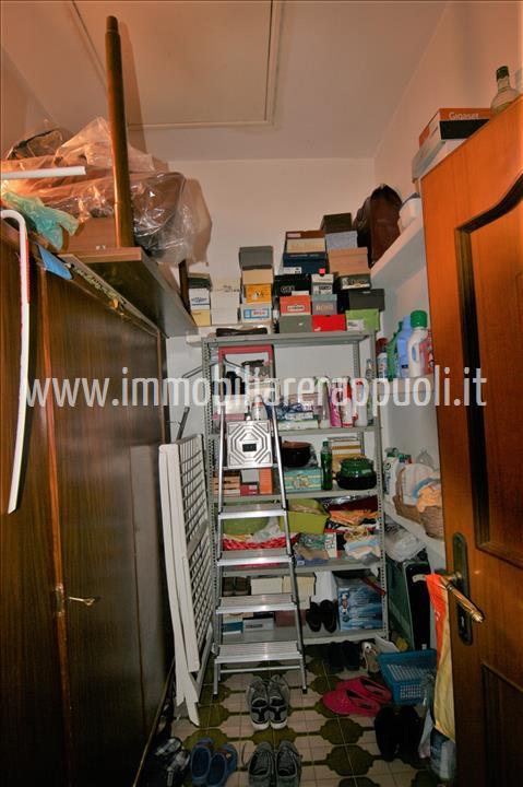 Immagine 15 di Appartamento in vendita  a Torrita Di Siena