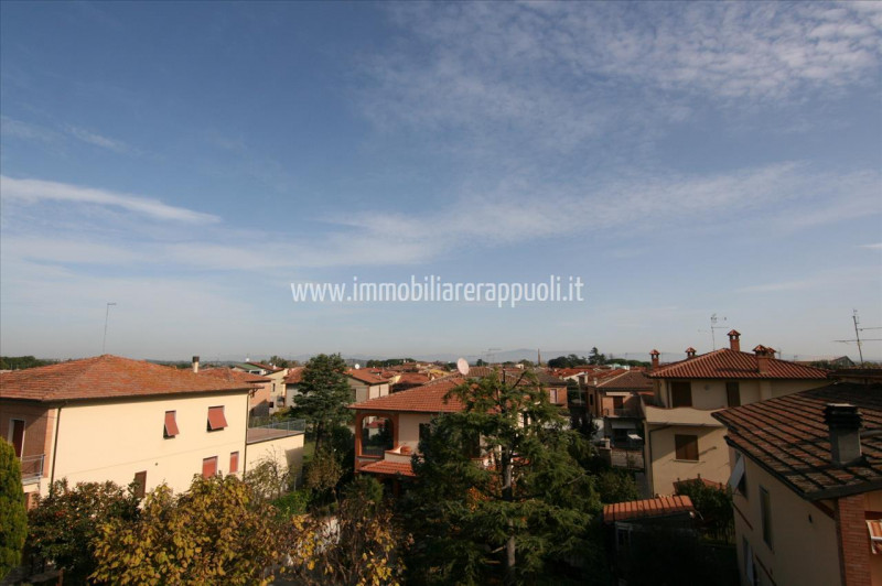 Immagine 16 di Appartamento in vendita  a Torrita Di Siena