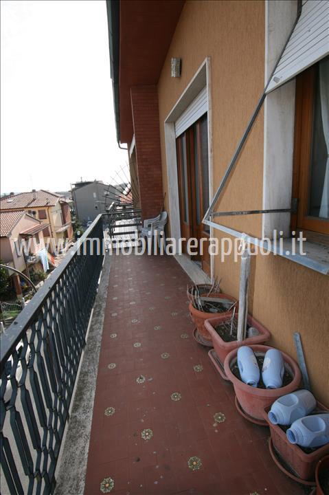 Immagine 17 di Appartamento in vendita  a Torrita Di Siena