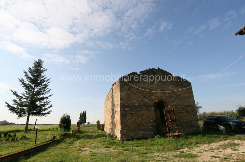 Immagine 4 di Rustico / casale in vendita  a Asciano