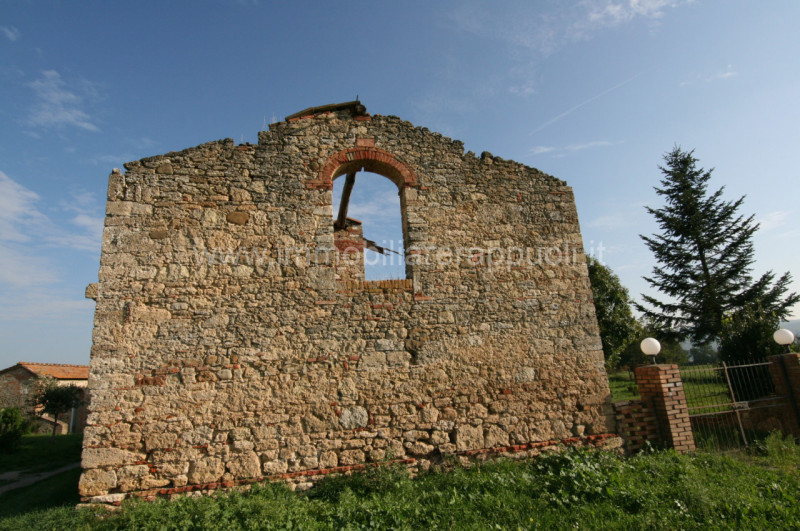 Immagine 5 di Rustico / casale in vendita  a Asciano