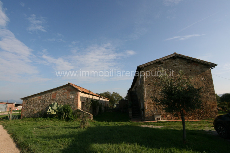 Immagine 7 di Rustico / casale in vendita  a Asciano
