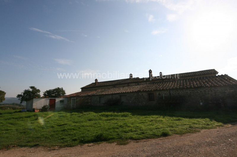 Immagine 8 di Rustico / casale in vendita  a Asciano