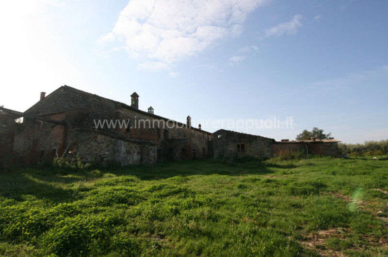 Immagine 10 di Rustico / casale in vendita  a Asciano