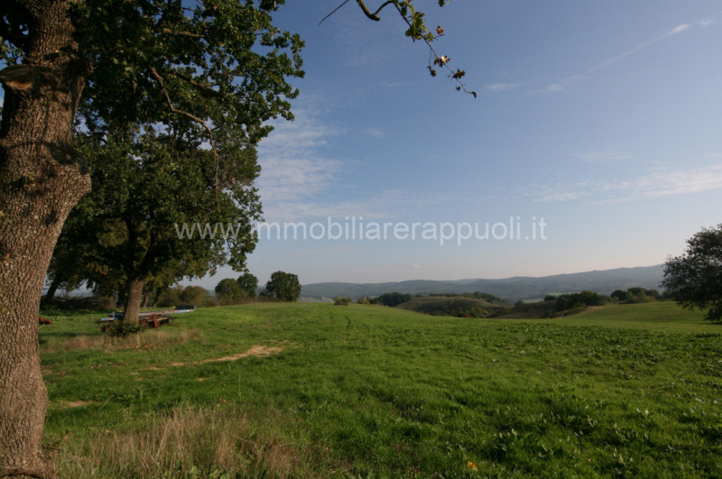 Immagine 11 di Rustico / casale in vendita  a Asciano