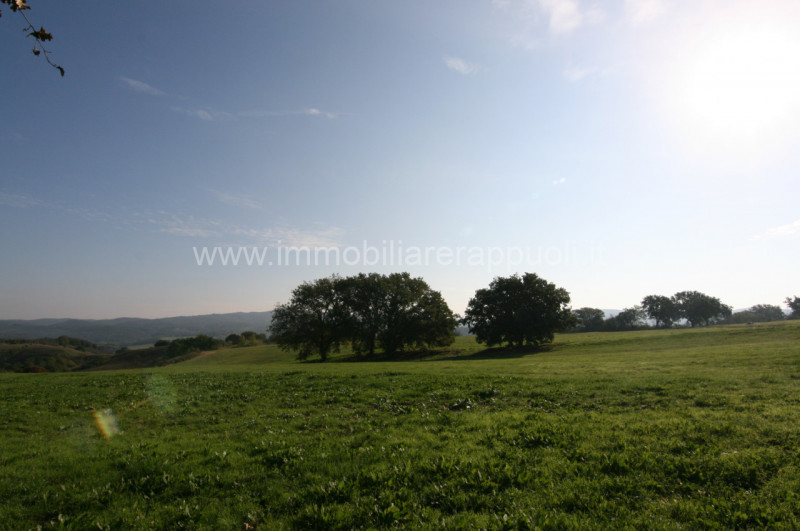 Immagine 12 di Rustico / casale in vendita  a Asciano