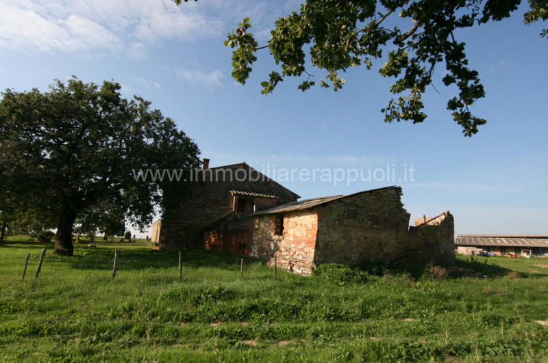 Immagine 13 di Rustico / casale in vendita  a Asciano