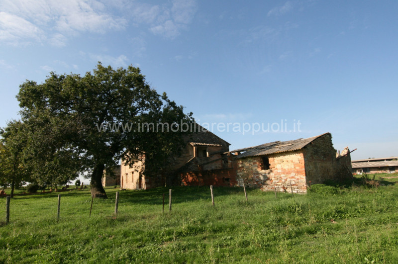 Immagine 14 di Rustico / casale in vendita  a Asciano