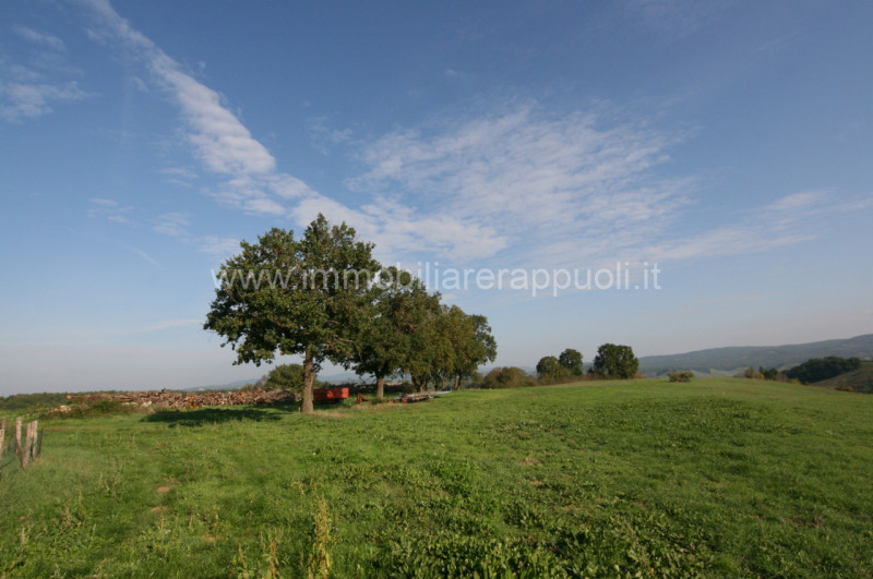 Immagine 15 di Rustico / casale in vendita  a Asciano
