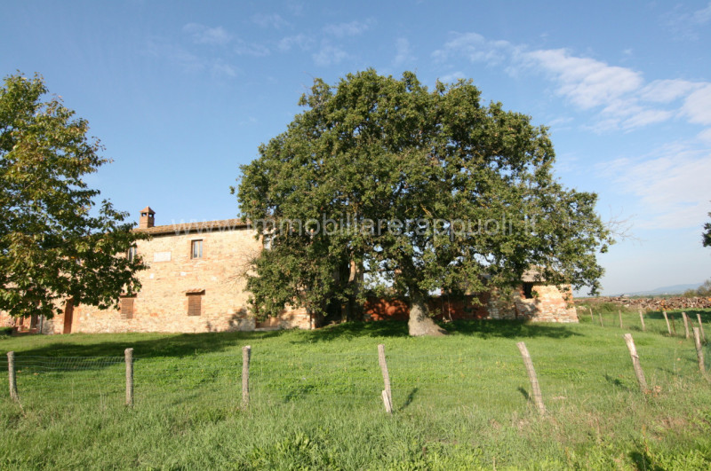 Immagine 16 di Rustico / casale in vendita  a Asciano