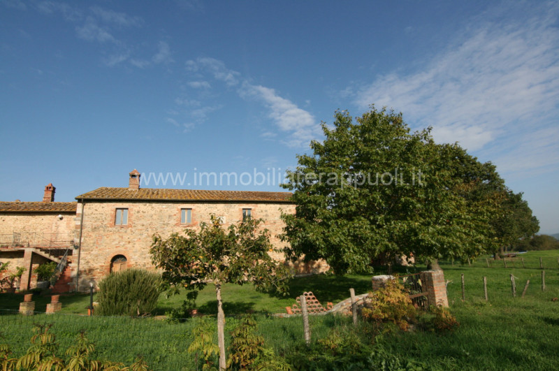Immagine 17 di Rustico / casale in vendita  a Asciano