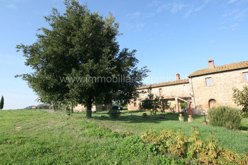 Immagine 18 di Rustico / casale in vendita  a Asciano