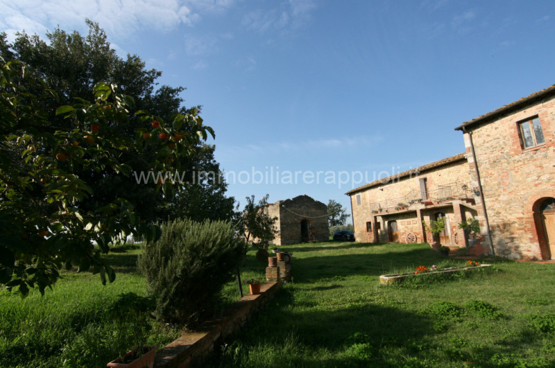 Immagine 19 di Rustico / casale in vendita  a Asciano