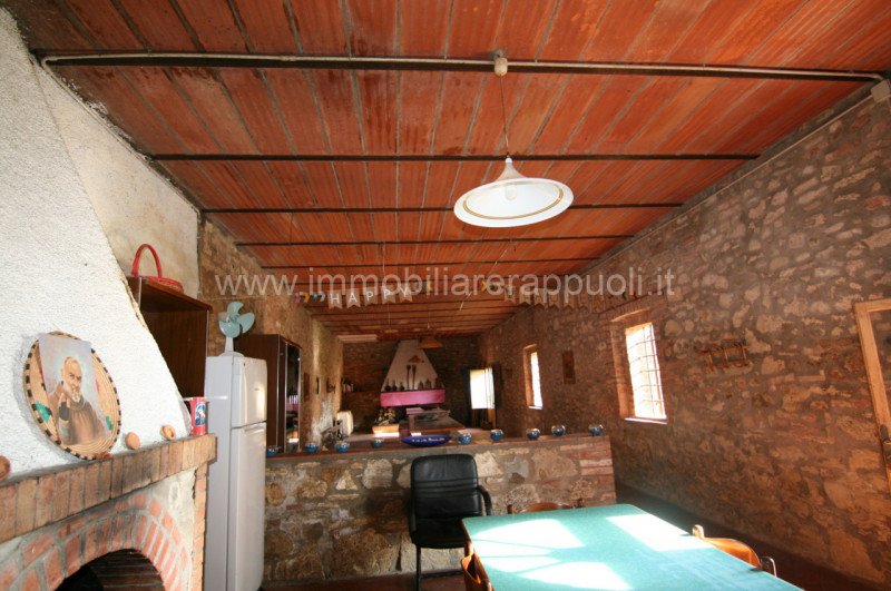 Immagine 21 di Rustico / casale in vendita  a Asciano