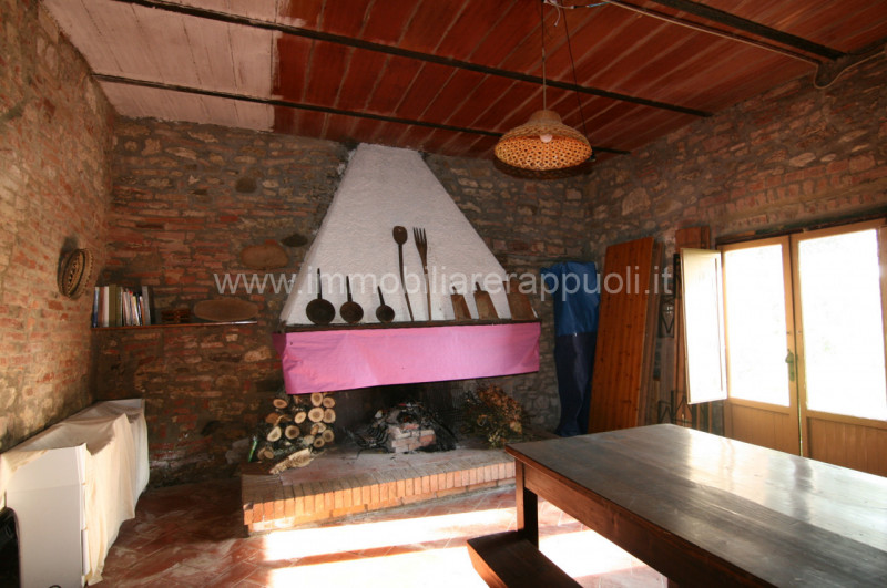 Immagine 23 di Rustico / casale in vendita  a Asciano