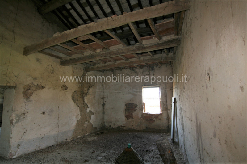 Immagine 25 di Rustico / casale in vendita  a Asciano