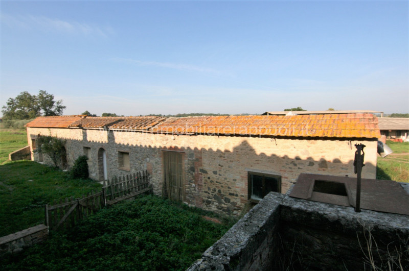 Immagine 27 di Rustico / casale in vendita  a Asciano