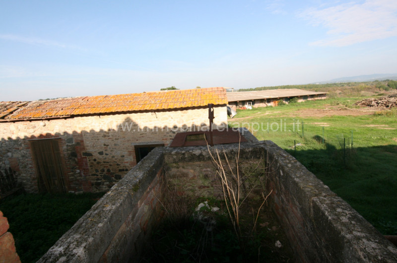 Immagine 28 di Rustico / casale in vendita  a Asciano