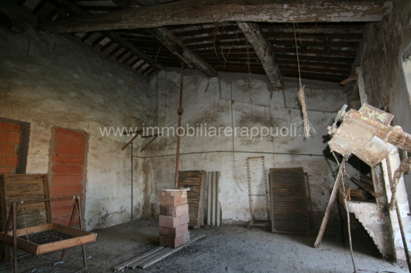 Immagine 29 di Rustico / casale in vendita  a Asciano