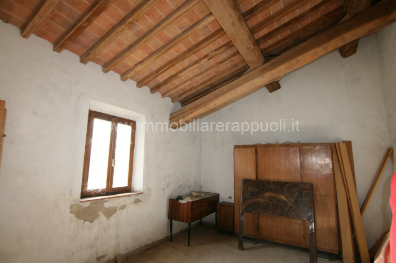 Immagine 31 di Rustico / casale in vendita  a Asciano