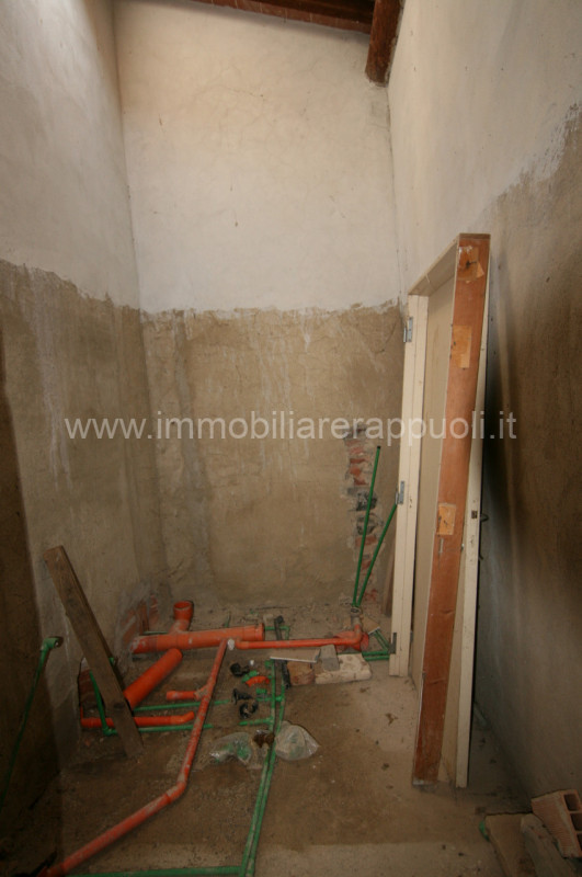 Immagine 33 di Rustico / casale in vendita  a Asciano