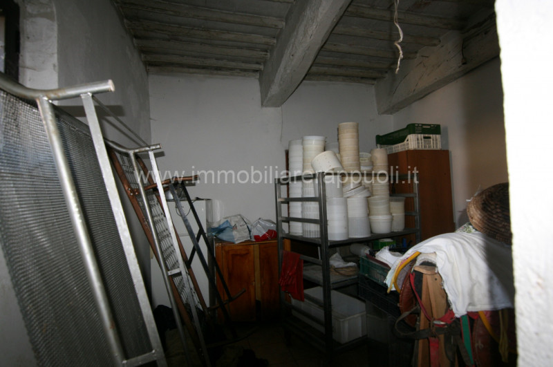 Immagine 44 di Rustico / casale in vendita  a Asciano