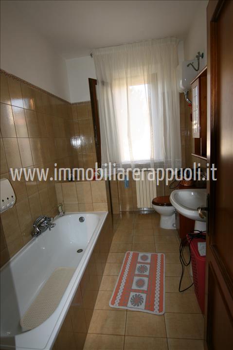 Immagine 4 di Appartamento in vendita  a Torrita Di Siena