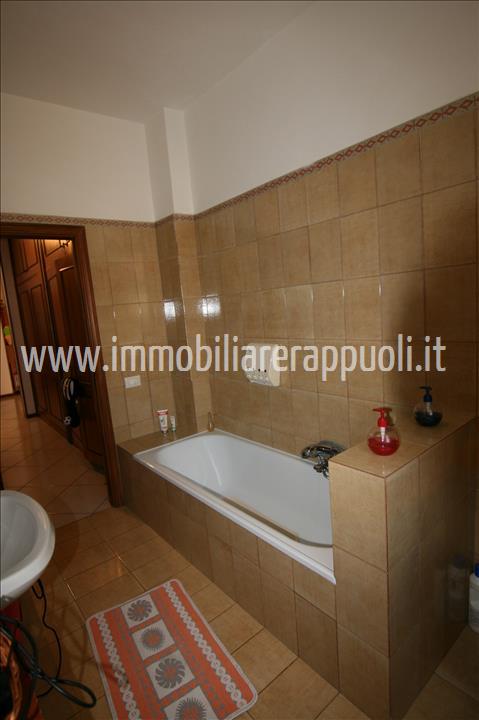 Immagine 5 di Appartamento in vendita  a Torrita Di Siena