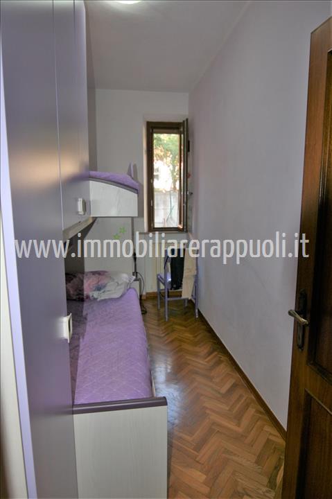 Immagine 6 di Appartamento in vendita  a Torrita Di Siena