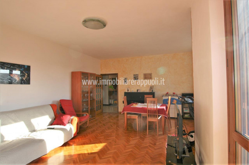 Immagine 13 di Appartamento in vendita  a Torrita Di Siena