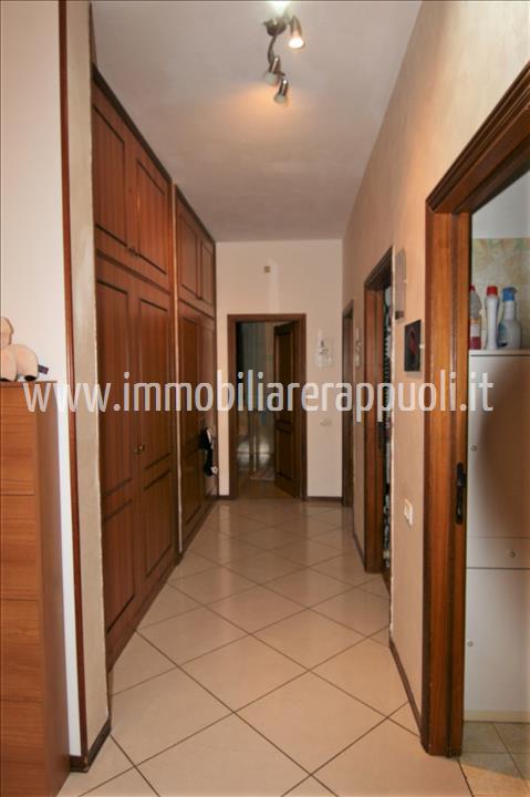 Immagine 17 di Appartamento in vendita  a Torrita Di Siena