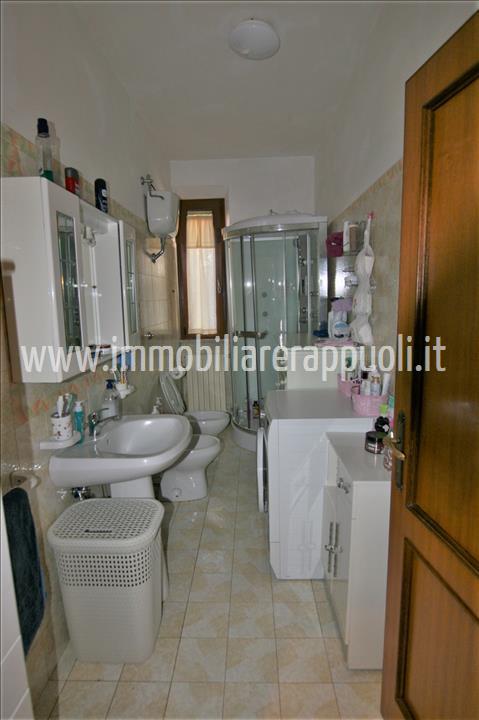 Immagine 18 di Appartamento in vendita  a Torrita Di Siena