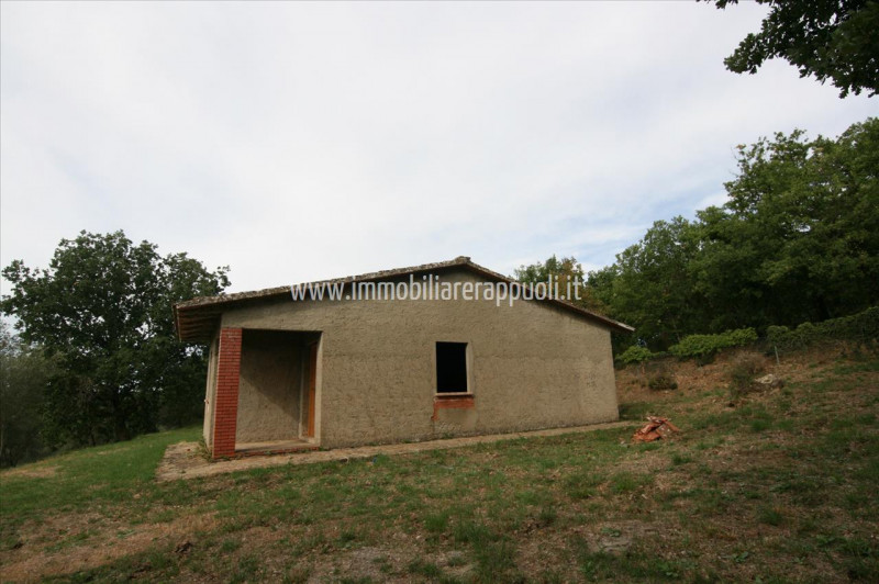 Immagine 5 di Casa indipendente in vendita  a Monte San Savino