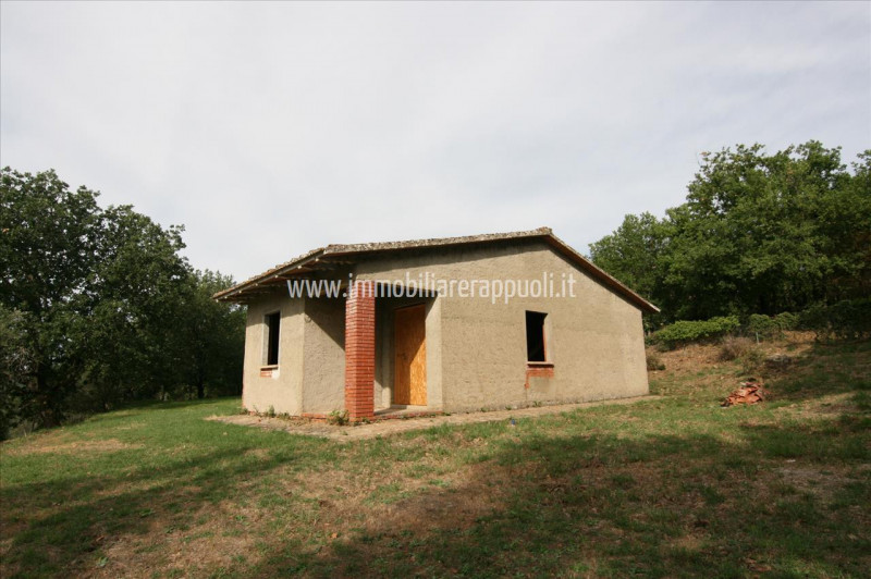 Immagine 6 di Casa indipendente in vendita  a Monte San Savino