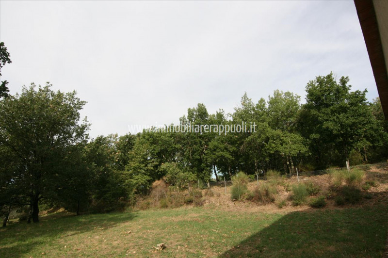 Immagine 7 di Casa indipendente in vendita  a Monte San Savino